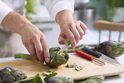 Coffret Trio Couteaux D'Office Essentiels +